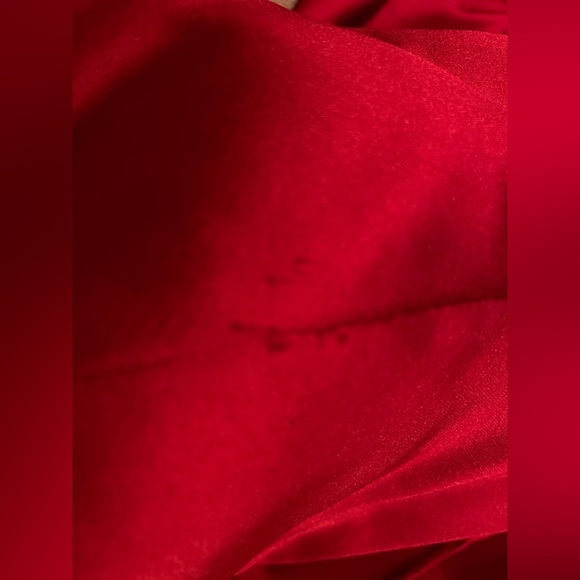 Rachel Allan Couture Style #8408 Burgundy Gown – Size 6 - Picture 9 of 9